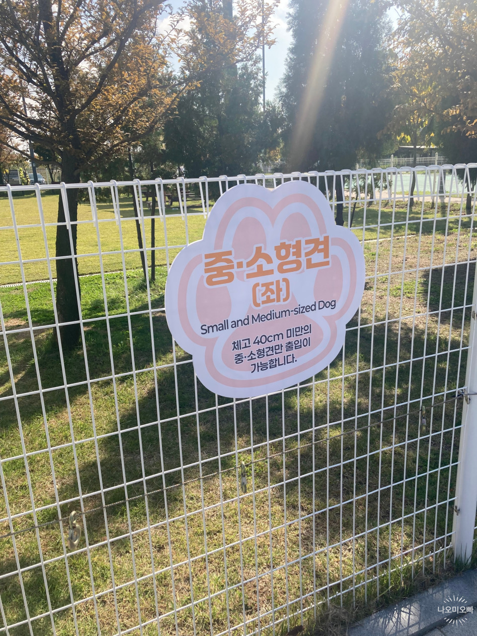 삼막애견공원
