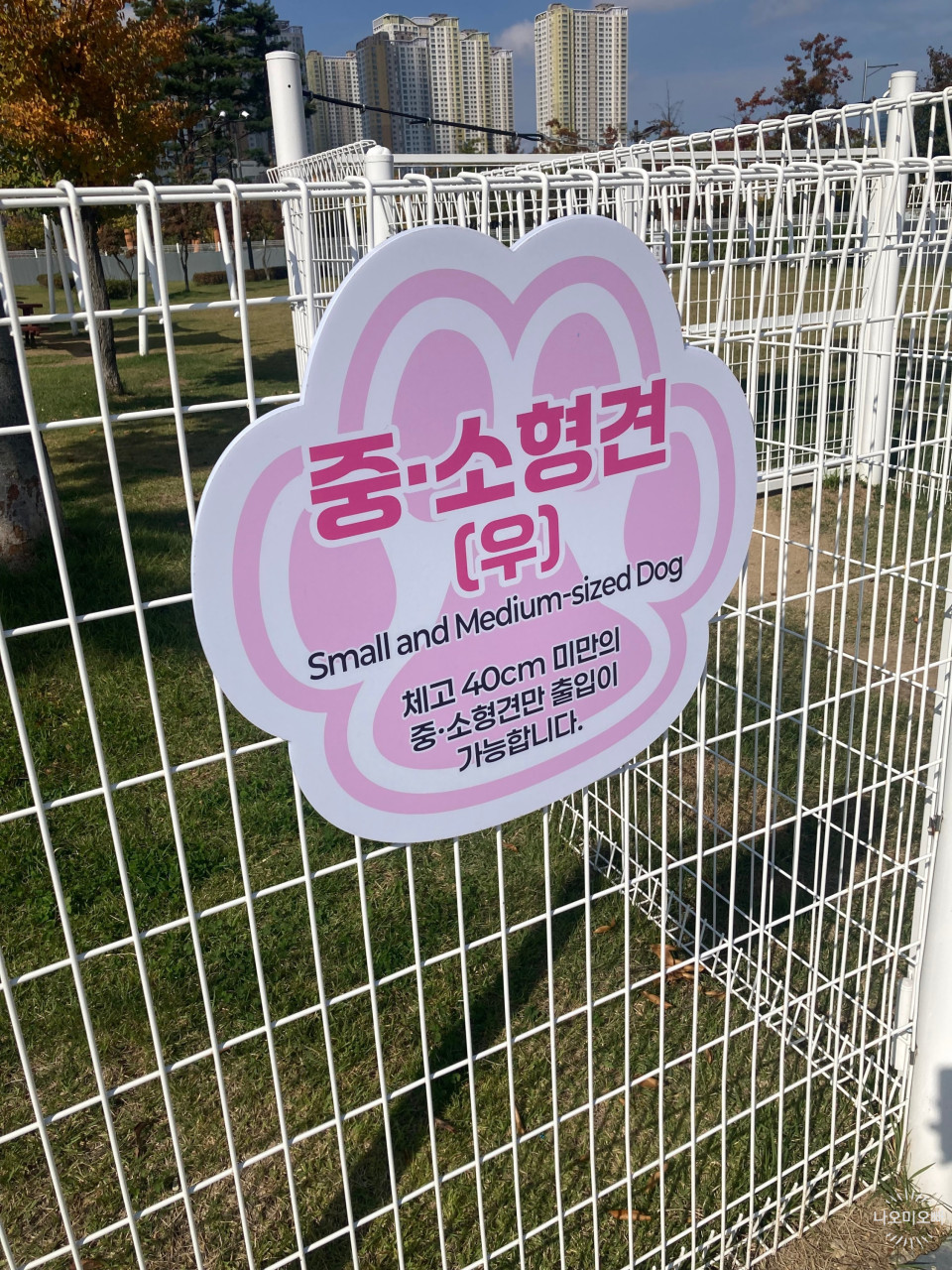 삼막애견공원