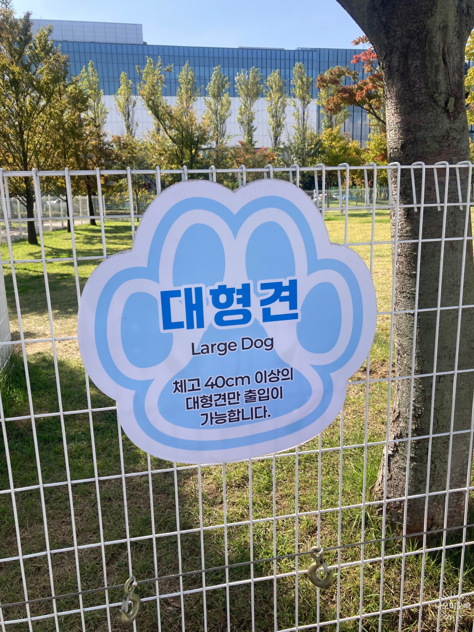 삼막애견공원